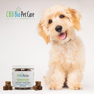 cbd biocare pet chews