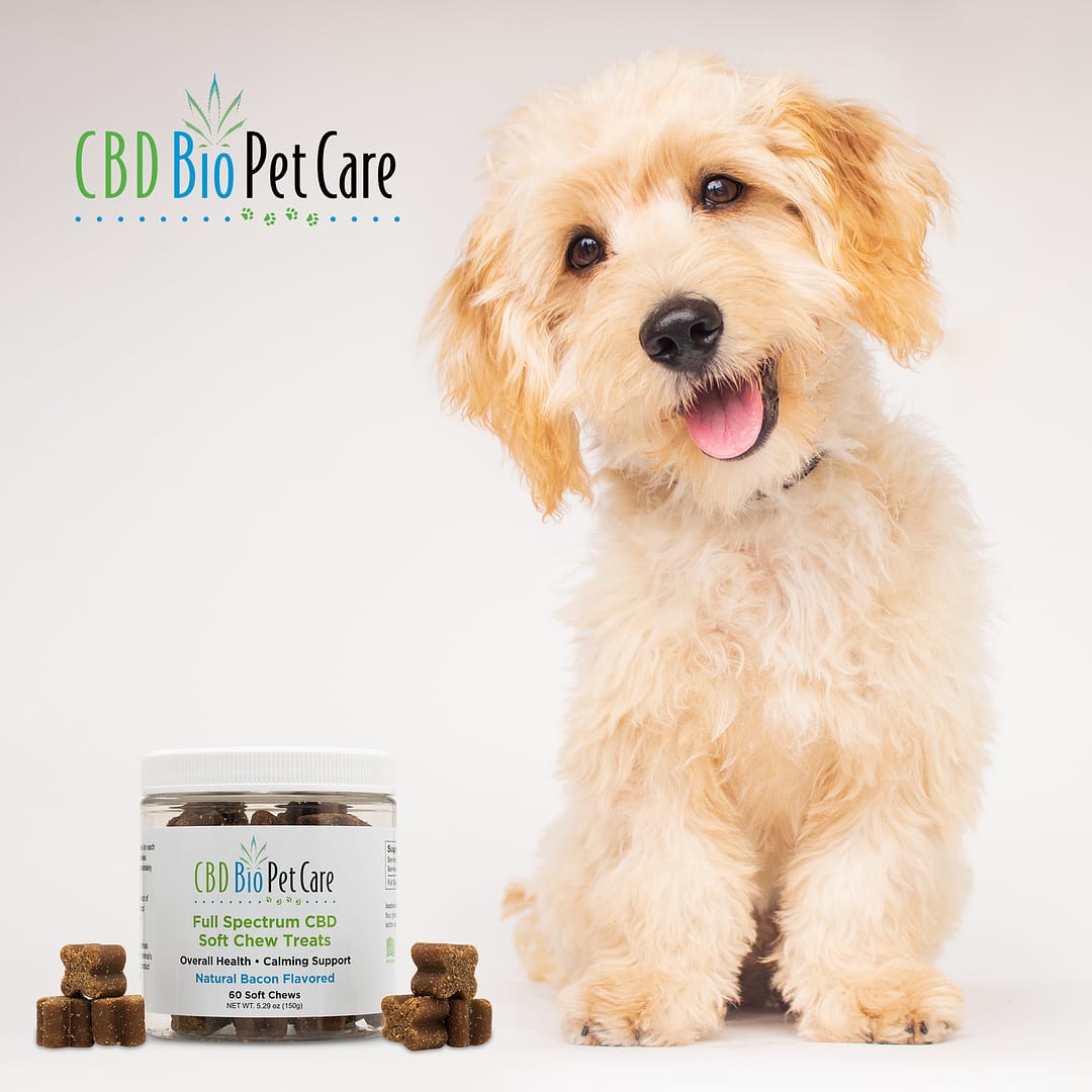 cbd biocare pet chews California
